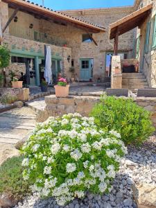 Zahrada ubytování Domaine Saint Claude - Gîte , Chambres d'hôtes & hébergement insolite