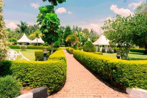 Zahrada ubytování Kalya Courts Hotel Fort Portal