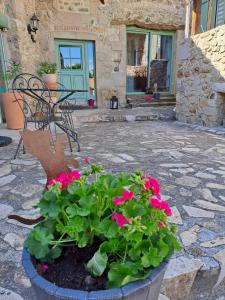 Zahrada ubytování Domaine Saint Claude - Gîte , Chambres d'hôtes & hébergement insolite