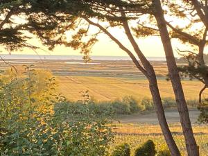 a view of a field with trees and the ocean at Villa Vieilles Vignes vue mer in Billiers