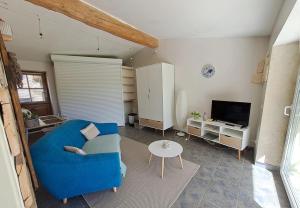 un soggiorno con divano blu e TV di Domaine Saint Claude - Gîte , Chambres d'hôtes & hébergement insolite a Malleval