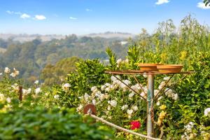 a bird feeder in a garden with flowers at Lush rural retreat in Korumburra