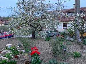 a garden with red flowers and a tree at U lesního muže in Střelice