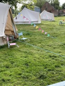 a row of tents in a field with a chair at Willow glamping in Norwich
