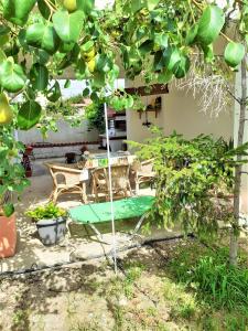 Villa Malena Volos Alykes Beach في Dhimínion: حديقة فيها طاولة وكراسي تحت شجرة