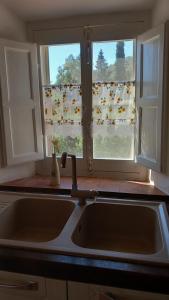 un lavello da cucina di fronte a una finestra con polli di Villa Podere I Cavalieri a SantʼAnna