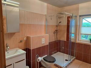 a bathroom with a toilet and a glass shower at Ferienwohnung am Nordstrand 2 in Alt Schwerin
