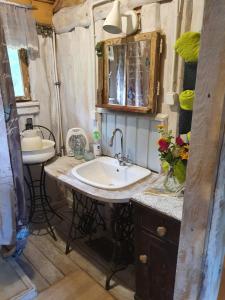 a bathroom with a sink and a mirror at Domek gruszkowy in Aleksandrów Kujawski