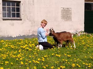Hollingstedt的住宿－Hof Ruemland Ferienwohnungen，和山羊一起坐在田野中的女人