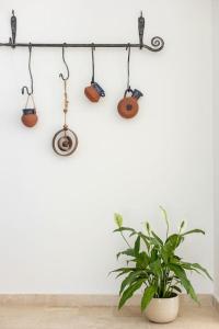 Foto sihtkohas Adamit asuva majutusasutuse Julius Suite ג'וליוס סוויטה galeriist