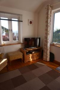 ein Wohnzimmer mit einem Flachbild-TV und 2 Fenstern in der Unterkunft Cwm Lodge, an idyllic retreat in the heart of Herefordshire! in Hereford