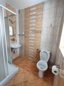 a bathroom with a toilet and a sink at Willa U Góralki in Murzasichle