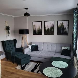 a living room with a couch and a table at Apartament Kościuszki in Sanok