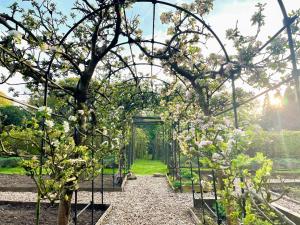 an arbor with white flowers in a garden at Garden Cottage 2 - Uk42882 in Liphook