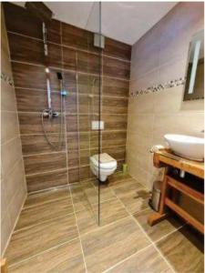 a bathroom with a shower and a toilet and a sink at Pferdehof Reitingau in Mautern in Steiermark