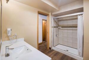 a bathroom with a shower and a white sink at Rodeway Inn in Colorado Springs