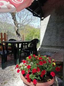 un patio con una mesa y una maceta de flores rojas en Chalet Niki BELLAGIO, en Bellagio