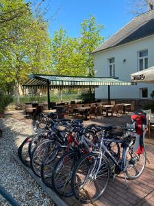 Jízda na kole v ubytování Főnix Hotel nebo okolí