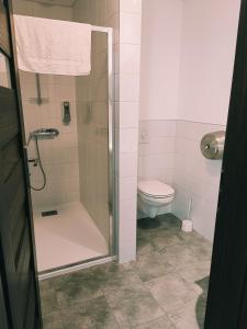 uma casa de banho com um chuveiro e um WC. em Auberge du Fort Pélissier em Pont-Saint-Vincent