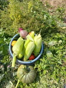 a bowl full of vegetables sitting on the ground at Guest House IRAKLI in P'ari