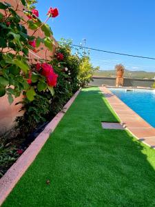 a yard with green grass and a swimming pool at Villa Belephant Sitges in Canyelles