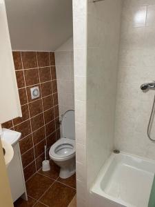 a bathroom with a toilet and a tub and a sink at Izba JULIANA v Penzióne pod Smrekom in Martin