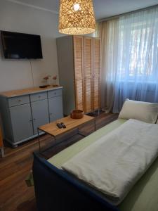 ein Wohnzimmer mit einem Bett und einem Tisch in der Unterkunft Zvejnieku apartamenti in Roja