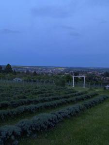 Fotografia z galérie ubytovania Királyvölgy Birtok v destinácii Kőszeg