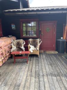two dogs sitting on a bench in a cabin at Peaceful cottage close to Bø Sommarland and Lifjell-perfect for hiking 