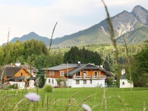 a house in a field with mountains in the background at Sportpension Aichholzer in Oberaichwald