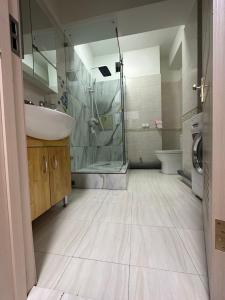 een badkamer met een douche, een wastafel en een toilet bij Home away home in the heart of UB, Mongolia in Ulaanbaatar