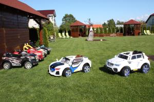 un grupo de coches de juguete estacionados en el césped en Willa Klif, en Rowy