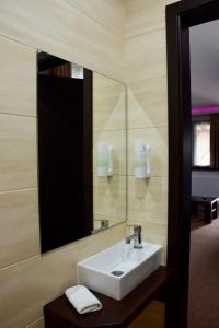 a bathroom with a sink and a mirror at Hotel Lotus in Hermina-major