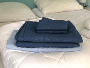 eine blaue Decke auf einem Bett in der Unterkunft Veluwe Nature Home - 2 persons in Otterlo