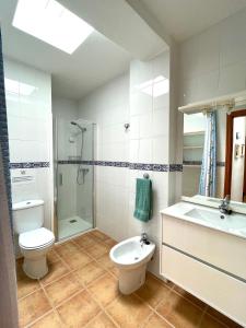 a bathroom with a toilet and a shower and a sink at Maresía Apartamento in El Golfo