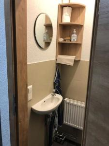 ein kleines Bad mit einem Waschbecken und einem Spiegel in der Unterkunft Kleine Wohnung im - Konzept Flieger - 2 Stockwerke in Tettnang