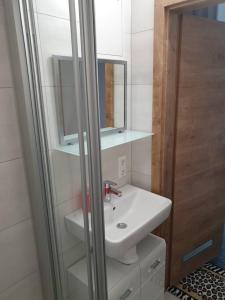 ein Bad mit einem Waschbecken und einem Spiegel in der Unterkunft Kleine Wohnung im - Konzept Flieger - 2 Stockwerke in Tettnang
