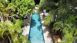 an overhead view of a swimming pool with palm trees at Monkey Casa Hotel in Trancoso