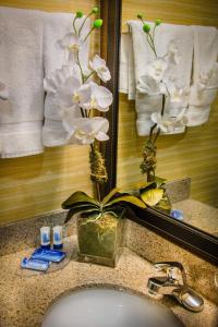 a bathroom sink with a mirror and a plant at Fairfield Inn & Suites Dulles Airport in Sterling