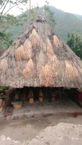 a hut with a thatched roof with plants at Batad Family Inn and Hidden Hut in Banaue