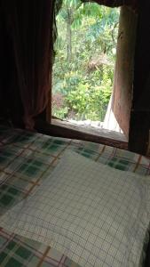 a room with a window and a tiled floor with a view of a forest at Batad Family Inn and Hidden Hut in Banaue