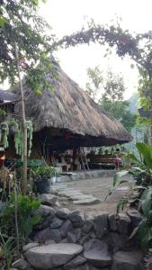 a hut with a thatched roof and a stone walkway at Batad Family Inn and Hidden Hut in Banaue