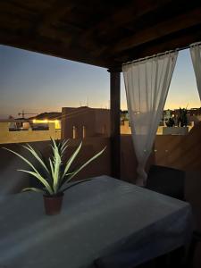 a table with a potted plant sitting on a balcony at ÁTICO Paraíso Beach con piscina privada in Vera