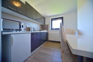 a kitchen with a sink and a dishwasher at 4 Seasons Guest House in Rakovica