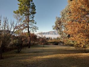 a park with trees and a mountain in the background at Casa en Tafí del Valle in Tafí del Valle