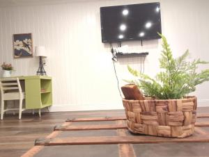 una sala de estar con TV y una planta en una cesta en Wildflower Cottage, en Oxford