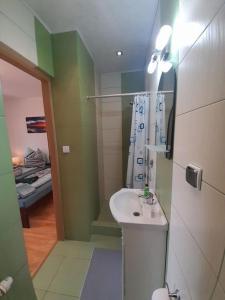 uma casa de banho com um lavatório e um chuveiro em Apartamenty Pod Debem (Ferienwohnungen an der uralten Eiche) em Wapnica
