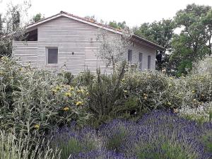 Κήπος έξω από το Agriturismo Timignano