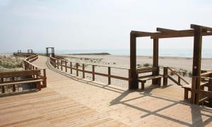 eine hölzerne Promenade, die zum Strand führt in der Unterkunft Torreirinha in Torreira
