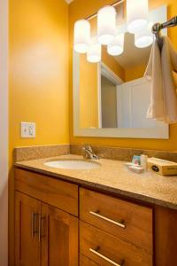 uma casa de banho com um lavatório e um espelho em TownePlace Suites by Marriott Kansas City Overland Park em Overland Park